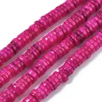 Natural Freshwater Shell Beads Strands