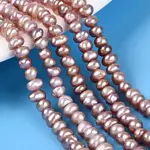 Natural Cultured Freshwater Pearl Beads Strand