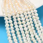 Natural Cultured Freshwater Pearl Beads Strands