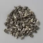 Natural Shell Charms
