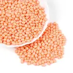 Baking Paint Glass Seed Beads