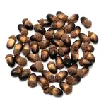 Acorn Foam Display