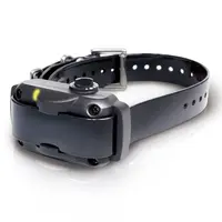 Dogtra YS600