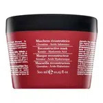 Fanola Botugen Reconstructive Mask posilující maska pro suché a lámavé vlasy 300 ml