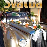 E-kniha: Svatba od Janečková Patricia