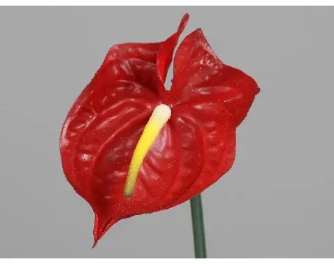 Umelá kvetina Anthurium 65 cm, červená%