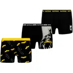Pánske boxerky Licensed