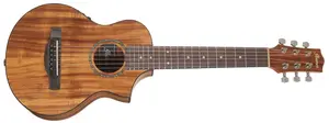 Ibanez EWP12EWB Natural