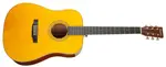 Tanglewood TW40DANE