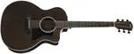 Taylor 214ce Plus Special Edition Grey