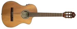 Ortega RCE23RO