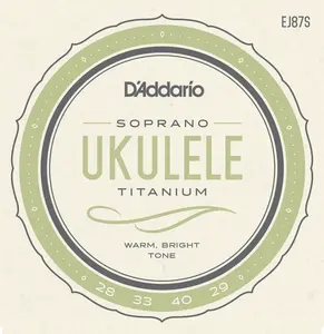 D'Addario EJ87S
