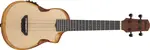 Ibanez AUC10E Natural