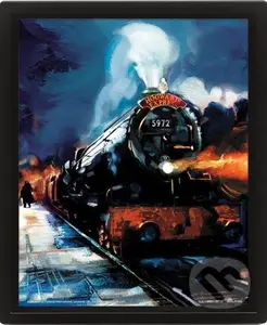 Harry Potter Obraz 3D - Rokfortský expres