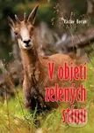 V objetí zelených stínů - Václav Beran - kniha z kategorie Myslivost