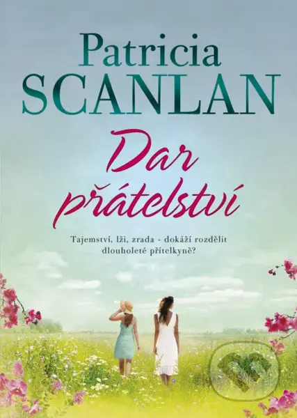 Dar přátelství - Patricia Scanlan - kniha z kategorie Společenská beletrie