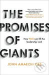 The Promises of Giants (How YOU can fill the leadership void) - kniha z kategorie Motivace a seberozvoj