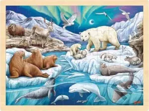 Dřevěné puzzle Polární noc - puzzle z kategorie 60 - 300 dílků
