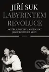 Labyrintem revoluce (Aktéři, zápletky a křižovatky jedné politické krize) - kniha z kategorie Historie