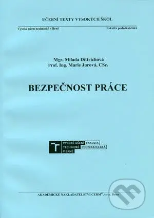 Bezpečnost práce - Milada Dittrichová - kniha z kategorie Vysoké školy