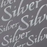 Kaligrafický inkoust W&N 30ml – 617 Silver