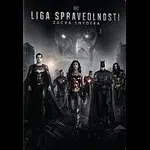 Různí interpreti – Liga spravedlnosti Zacka Snydera DVD
