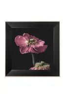 Nástěnná dekorace v rámu home & lifestyle ARTISTIC FLOWER NO.1 50 x 50 cm