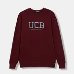 Dětská bavlněná mikina United Colors of Benetton vínová barva, s potiskem, 3J68C10PZ