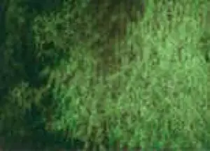 Akvarelová barva DS 5ml – 197 Green Apatite Genuine