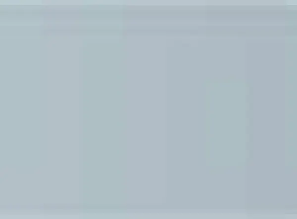 Pastel Caran d'Ache Neocolor I 003 Light grey