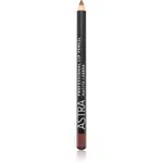 Astra Make-up Professional konturovací tužka na rty odstín 41 Wood 1,1 g