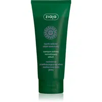 Ziaja Herbal šampon pro mastné vlasy 200 ml