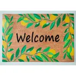 DVEŘNÍ ROHOŽKA, 40/60 cm