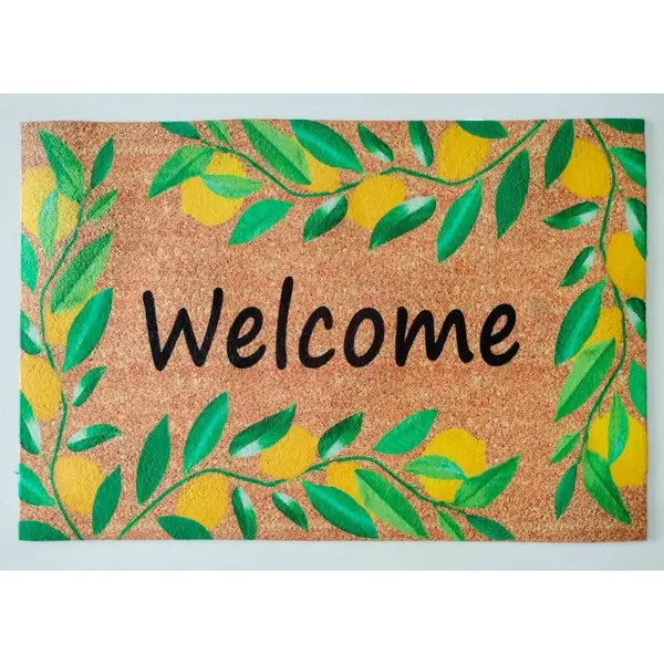 DVEŘNÍ ROHOŽKA, 40/60 cm