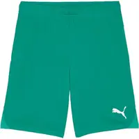 Puma TEAMGOAL SHORTS Pánske futbalové šortky, zelená, veľkosť
