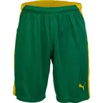 Puma KC LIGA SHORTS Pánske futbalové šortky, zelená, veľkosť