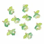 10Pcs Acrylic & Glass Flower Pendants