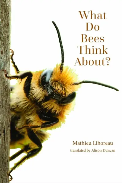 What Do Bees Think About? - Lihoreau Mathieu