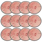 12Pcs Polyester Cushions