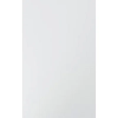 Hom`in DVEŘE, vysoce lesklá bílá, 45/66/1,6 cm