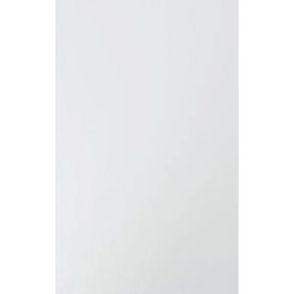 Hom`in DVEŘE, vysoce lesklá bílá, 45/66/1,6 cm