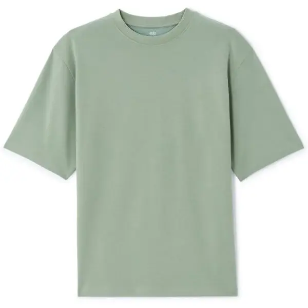 CELIO GEHEM Pánské pohodlné tričko, světle zelená, velikost