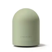 Odžmolkovač Steamery Fabric Shaver Pilo No.2