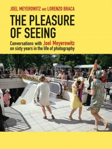 The Pleasure of Seeing - Joel Meyerowitz, Lorenzo Braca