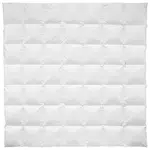 Billerbeck CELOROČNÍ PŘIKRÝVKA, 200/200 cm, prachové peří