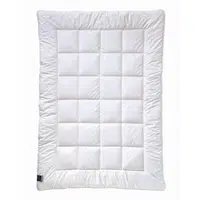 Billerbeck ZIMNÍ PŘIKRÝVKA, 135/200 cm, polyester