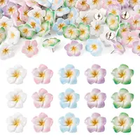 50Pcs 5 Styles Iron Drawing Pins