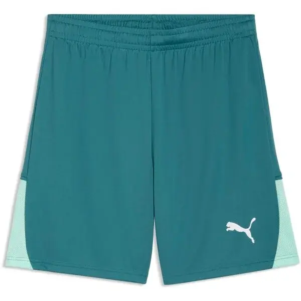 Puma TEAMLIGA 26 SHORTS Pánske športové šortky, zelená, veľkosť