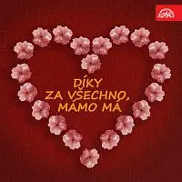 Různí interpreti – Díky za všechno, mámo má