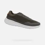 Khaki men's sneakers Geox Klaiver - Men's